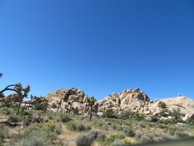 Joshua Tree & Hidden Valley (5).JPG